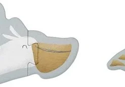 Little Dutch Vormen Puzzel Sailors Bay Puzzel FSC -Puzzels Verfijnd Winkel 550x173