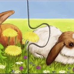 Ravensburger Lieve Dieren- My First Puzzles -9x2 Stukjes - Kinderpuzzel 21 Ravensburger Lieve Dieren- My First Puzzles -9x2 Stukjes - Kinderpuzzel -Puzzels Verfijnd Winkel 550x304 6