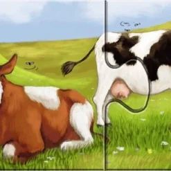 Ravensburger Lieve Dieren- My First Puzzles -9x2 Stukjes - Kinderpuzzel 24 Ravensburger Lieve Dieren- My First Puzzles -9x2 Stukjes - Kinderpuzzel -Puzzels Verfijnd Winkel 550x304 8