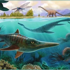 Trefl Dino`s 10-in-1 Puzzel - 20/35/48 Stukjes -Puzzels Verfijnd Winkel 550x377 2