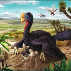 Trefl Dino`s 10-in-1 Puzzel - 20/35/48 Stukjes -Puzzels Verfijnd Winkel 550x377 4