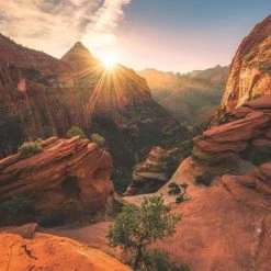 Ravensburger Puzzel Zion Canyon USA - Legpuzzel - 1000 Stukjes -Puzzels Verfijnd Winkel 550x391 62