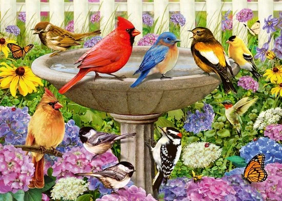 Ravensburger Puzzel Bij Het Vogelbadje - Legpuzzel - 500 Stukjes 3 Ravensburger Puzzel Bij Het Vogelbadje - Legpuzzel - 500 Stukjes - Afbeelding 3