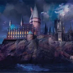 Fat Joe Puzzel 1000 Stukjes Hogwarts By Night - Zweinstein In De Nacht - Harry Potter - Puzzle 1000 Pieces