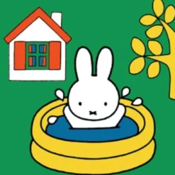 Ravensburger Nijntje. Vier Puzzels -6+9+12+16 Stukjes - Kinderpuzzel 13 Ravensburger Nijntje. Vier Puzzels -6+9+12+16 Stukjes - Kinderpuzzel -Puzzels Verfijnd Winkel 550x531 1