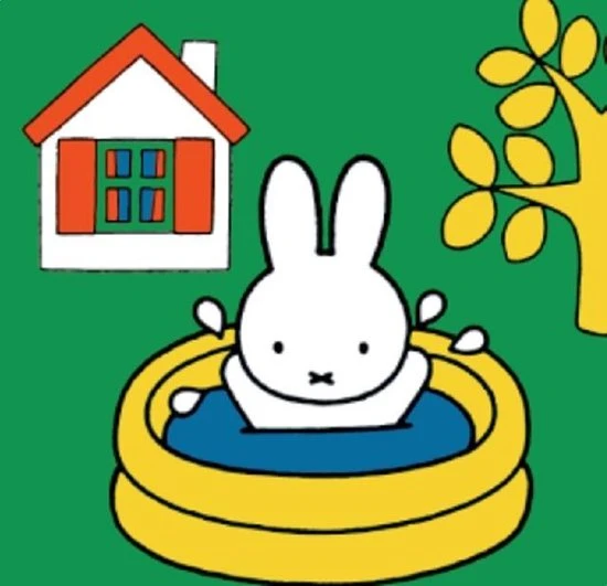 Ravensburger Nijntje. Vier Puzzels -6+9+12+16 Stukjes - Kinderpuzzel 3 Ravensburger Nijntje. Vier Puzzels -6+9+12+16 Stukjes - Kinderpuzzel - Afbeelding 3