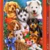 Castorland Legpuzzel Puppies - 1000 Stukjes